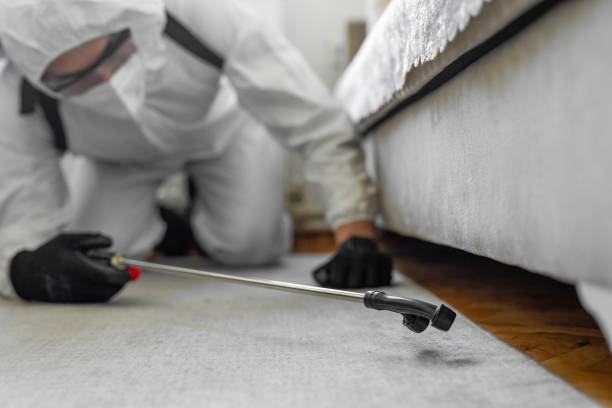 Professional Ant Control technician working in Lake City, IA