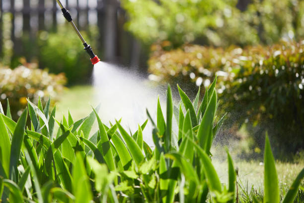 24/7 Emergency Mosquito Control experts in Lake City, IA
